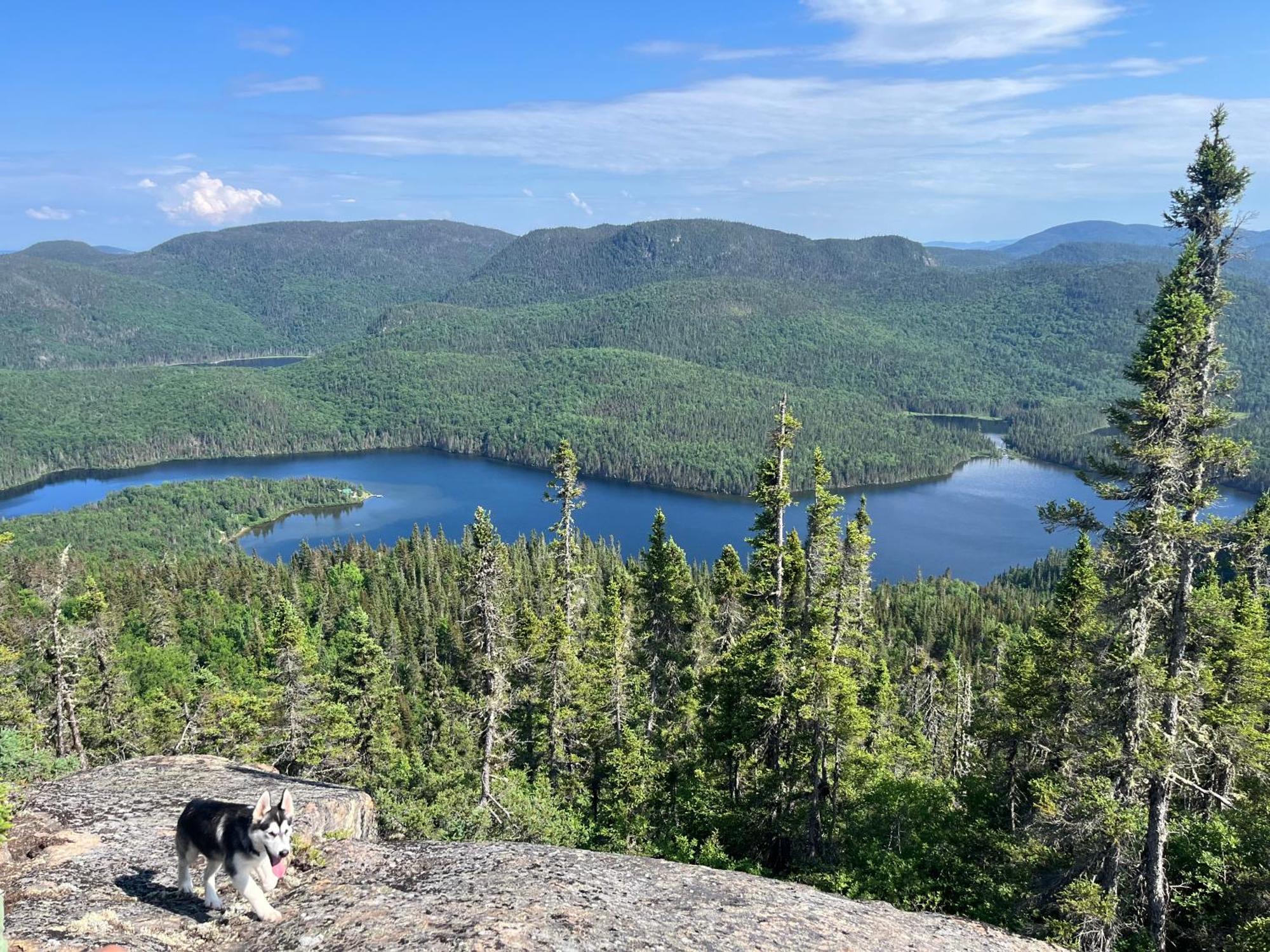 Auberge Boreale De Charlevoix Petit-Saguenay Kültér fotó